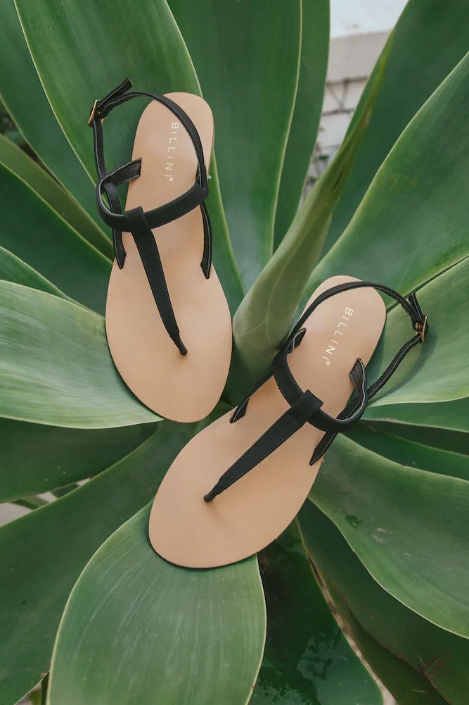BILLINI Morocco Sandals Black Nubuck