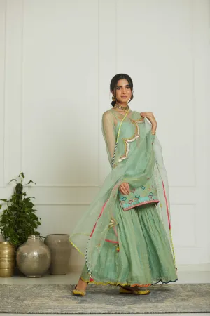 Powder Blue Organza Arch Patch Dupatta