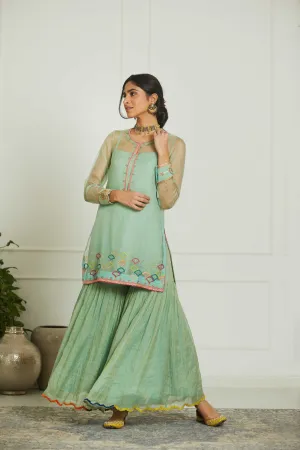 Powder Blue Organza Payala Gharara Set