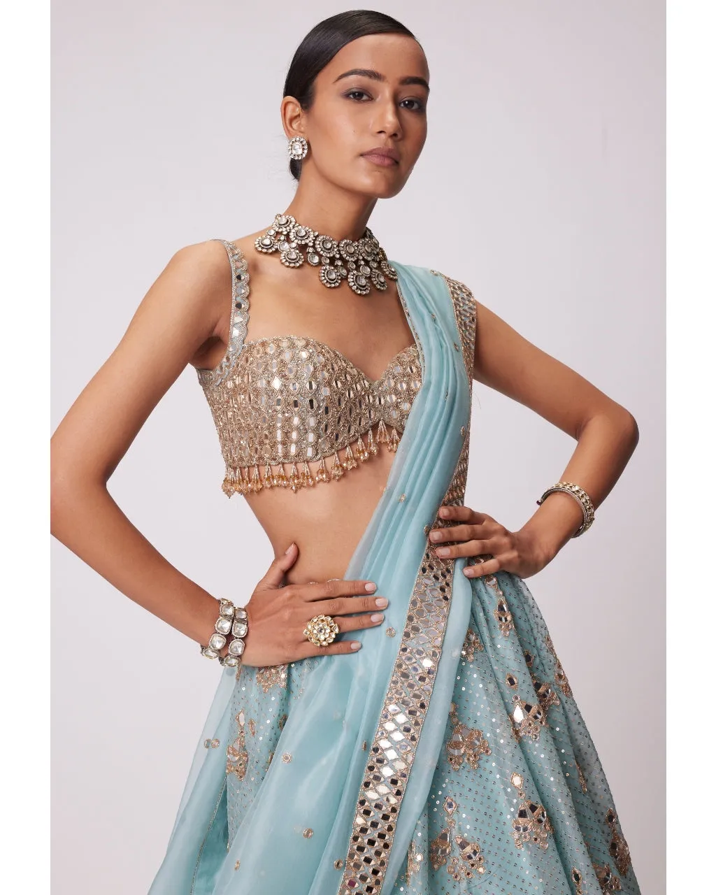 Powder Blue Organza Sequin Embroidered Lehenga Set